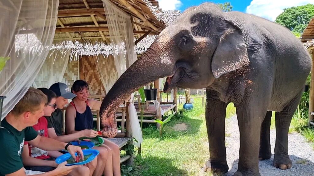 Elefantenfamilie bei einer individuell geplanten Safari-Reise